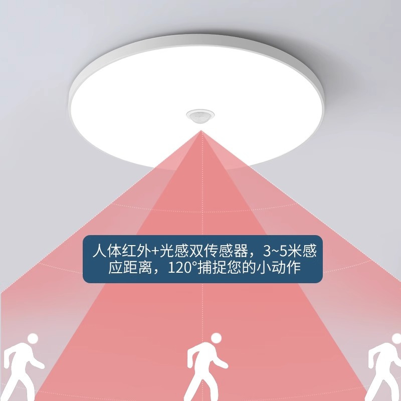 LED感应吸顶灯楼道楼梯过道家用入户走廊吸顶灯 20W白光-23CM(雷达感应+带光控)