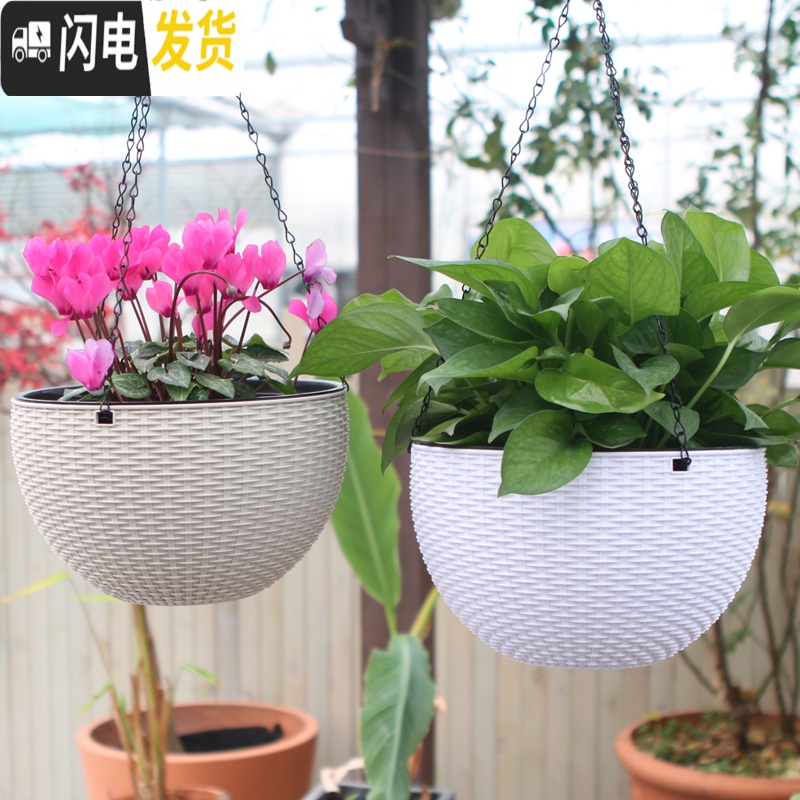 三维工匠吊兰花盆垂吊悬挂创意绿萝多肉懒人自吸水培器皿塑料双层吊篮花盆 [1个装]纯白色 中等花盆容器高清大图