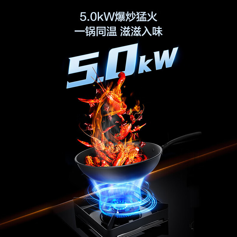 老板名气燃气灶家用双灶 煤气灶天然气灶嵌入灶台炉灶6510B天然气