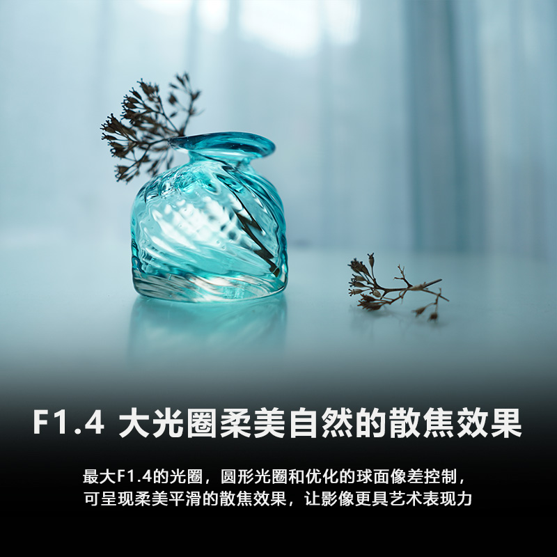 索尼(SONY) E 15mm F1.4 G 超广角定焦G镜头 (SEL15F14G)高清大图