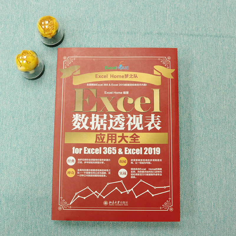 [正版]Excel数据透视表应用大全 for Excel 365 & Excel 2019 Excel Home Ex高清大图