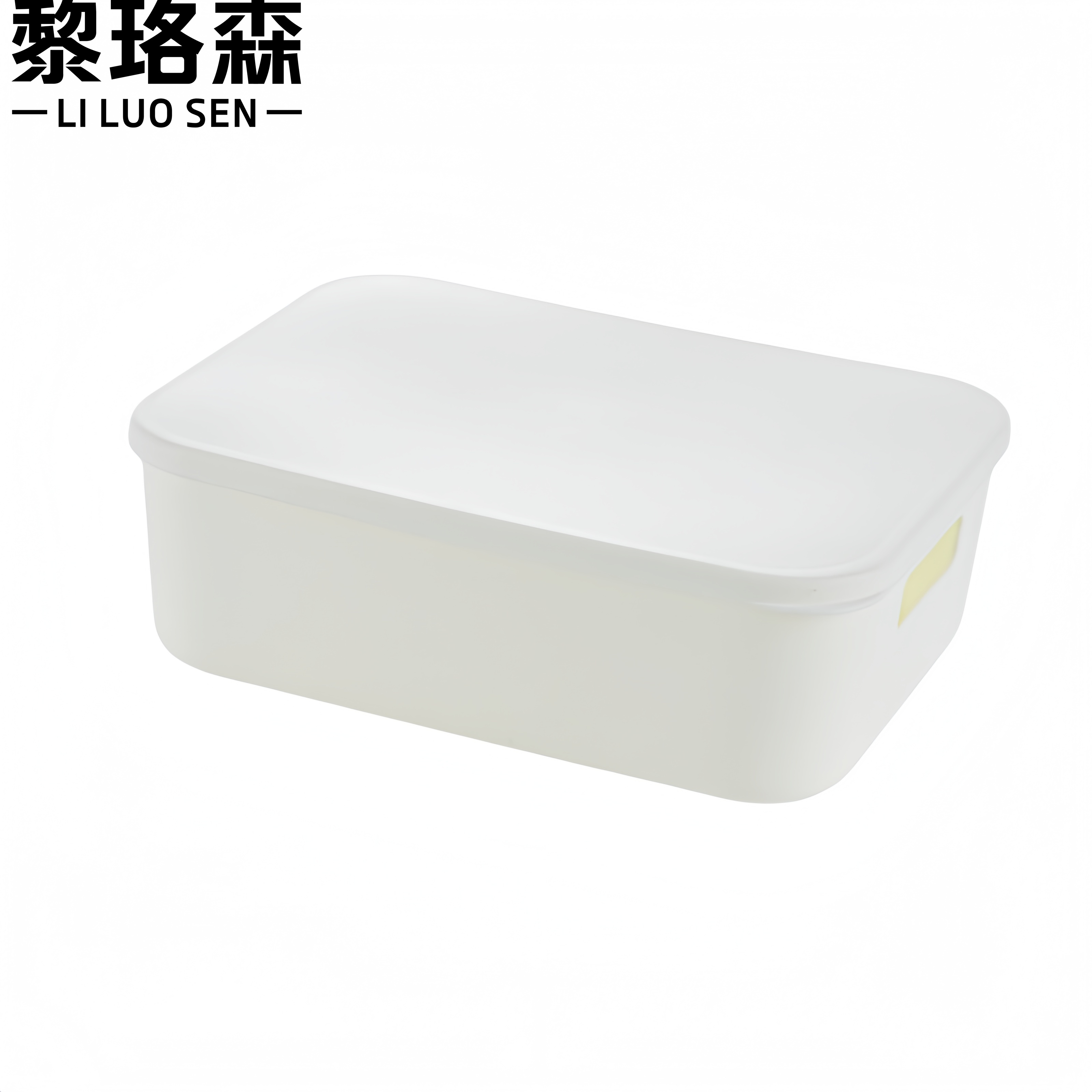 黎珞森 收纳盒28.5*22*9cm个
