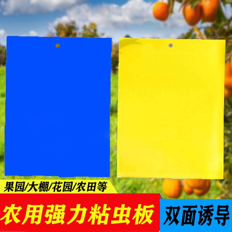 大棚果园花园专用黄板粘虫蓝板双面特粘粘虫板诱虫板灭小飞虫果蝇 10张 黄色通用送诱蝇药[家庭推荐]