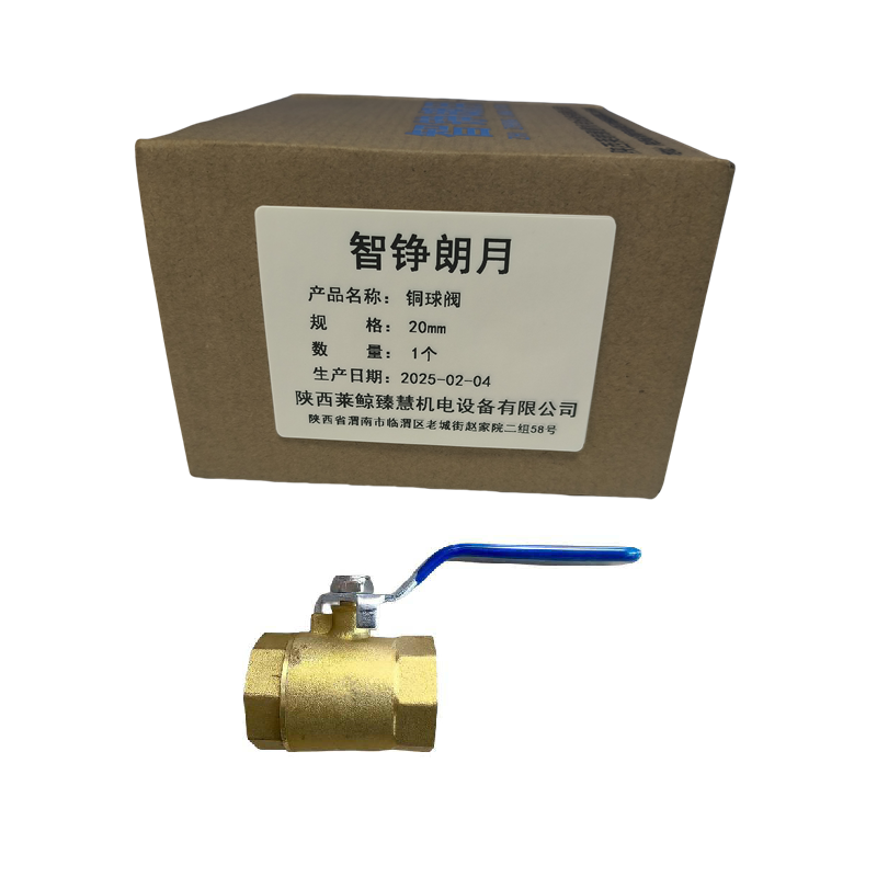 智铮朗月 铜球阀 20mm 个高清大图