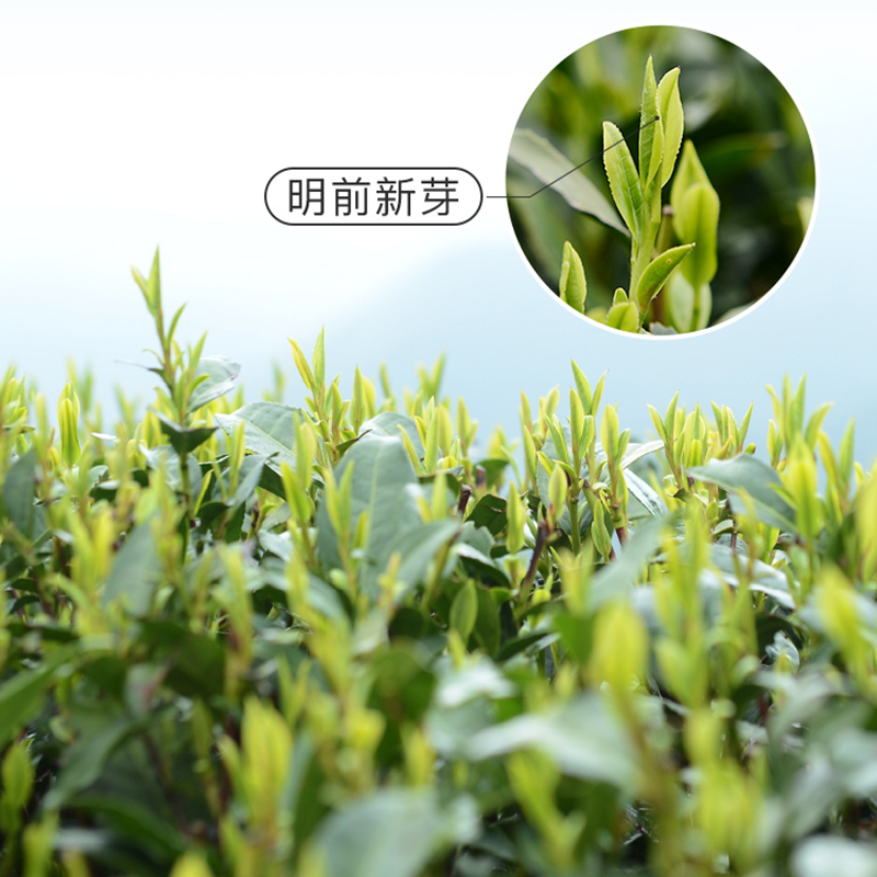 [2021新茶]艺福堂明前口碑龙井茶叶新茶钱塘龙井春茶绿茶散装200g