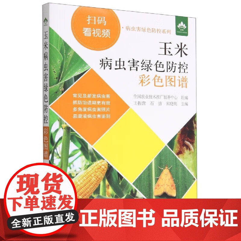 玉米病虫害绿色防控彩色图谱 王振营,石洁,朱晓明 编 中国农业出版社9787109300491高清大图