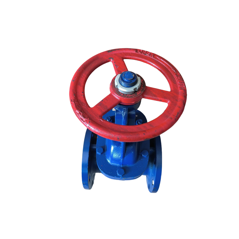 时速 铸铁明杆法兰闸阀 Z41T-16L DN250 个高清大图