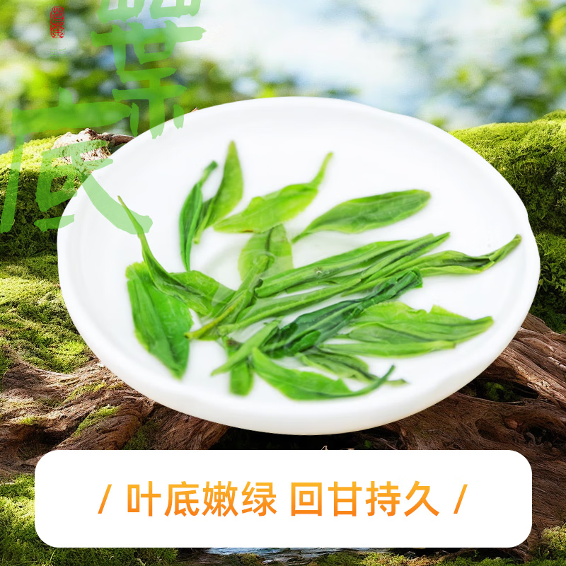 茶馬世家 一级早春恩施玉露铁罐100g高清大图