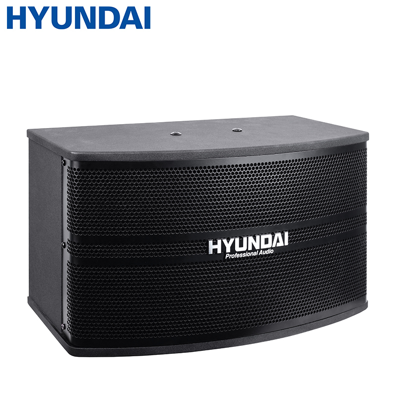 现代（HYUNDAI）HY-888 卡包音响 KTV音响家庭影院组合套装 会议客厅卡拉ok家用 仅对箱