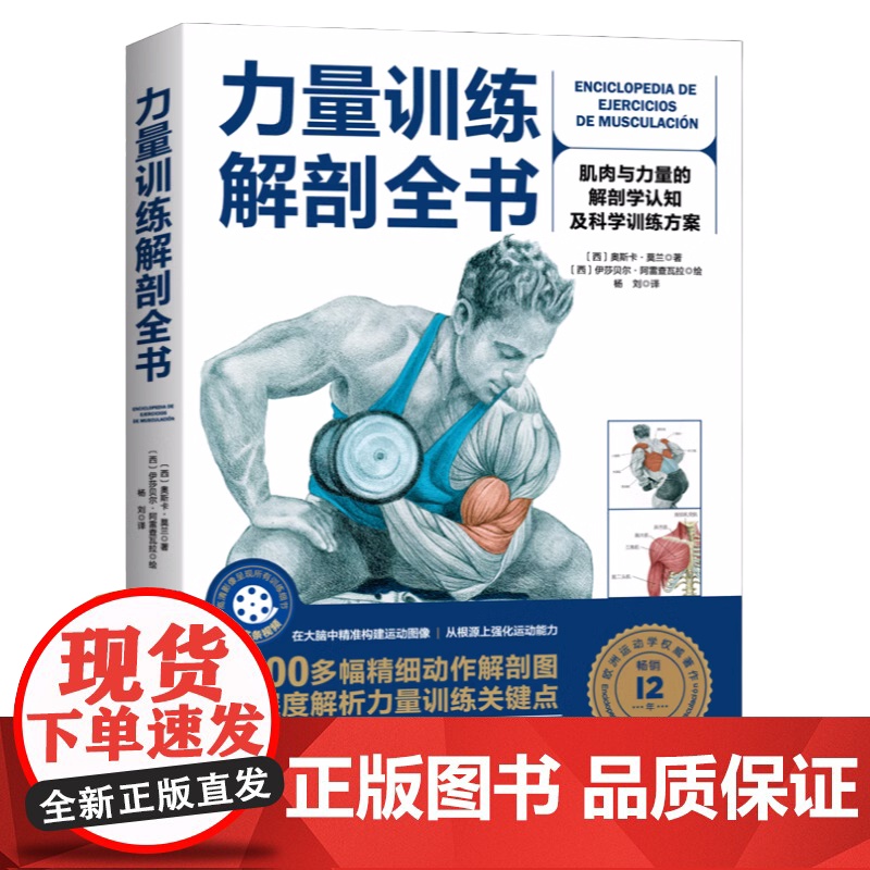 拉伸训练解剖全书+力量训练解剖全书 2本套 力量 科学健身 肌肉放松 北京科学技术高清大图