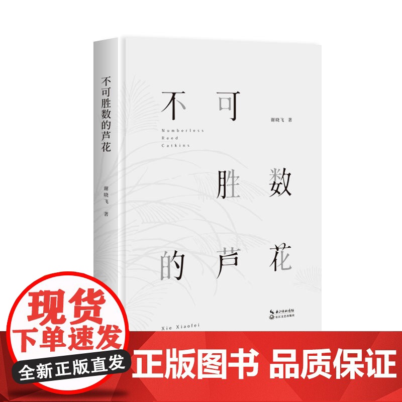 不可胜数的芦花高清大图