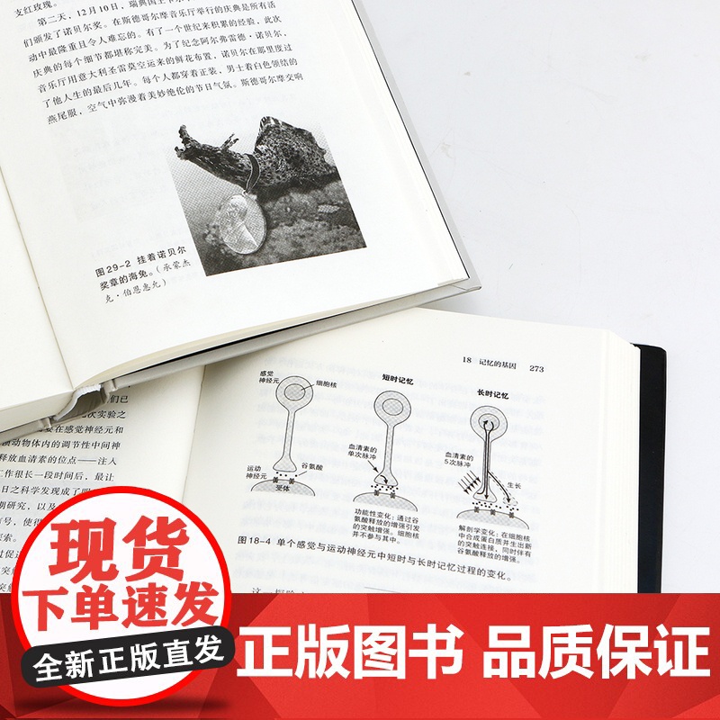 智慧宫丛书 追寻记忆的痕迹 十三邀许知远鲁白联袂 诺贝尔生理学奖医学神经科学家传记中学生课外科普书籍高清大图