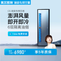 美尔凯特(MELLKIT)厨房空调专用机无外机1匹制冷机冷暖大1匹集成吊顶嵌入式冷风机C5