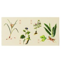 仲景 香砂养胃丸200丸/盒胃酸过多胃胀温中和胃不思饮食胃脘满闷泛吐酸水药店正品保证