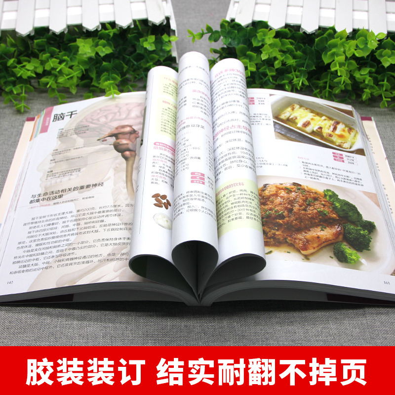 [正版]人体修复手册全彩图解基础医学生活中医养生经络穴位常见病食疗中医疗法人体经络使用图册基本结构全家庭饮食健康管理书
