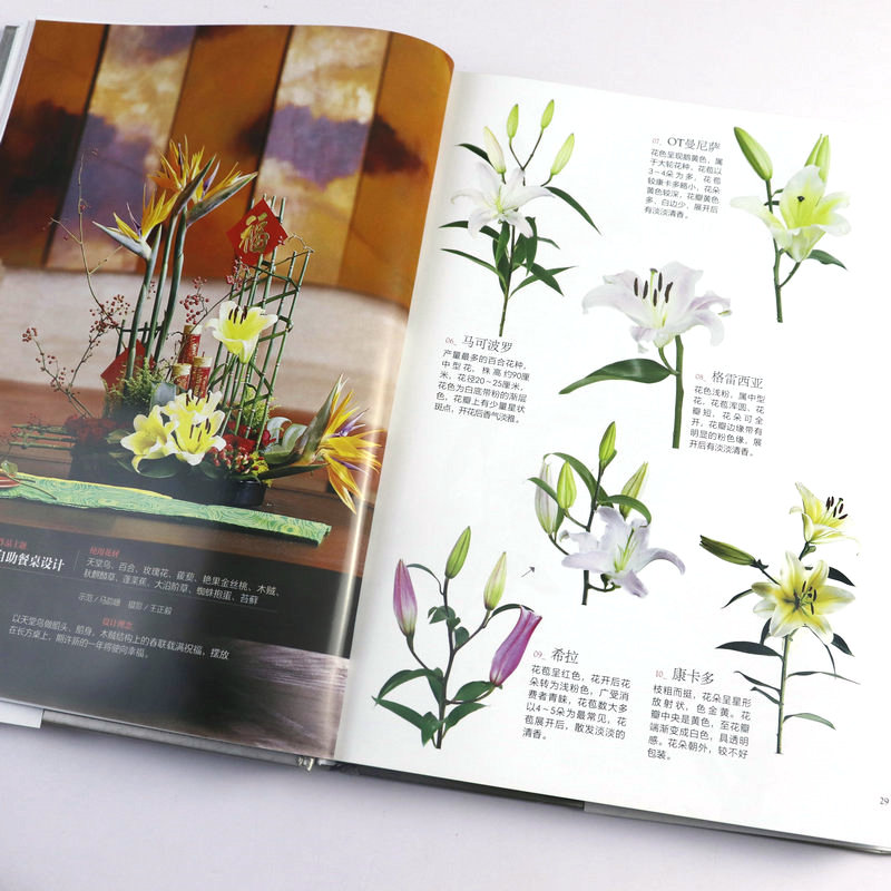 [正版]花艺素材大全 鲜切花品种图册园艺花叶枝果干燥花植物图鉴识别花图鉴花艺素材图解花店插花设计DK园艺学会家居植物实高清大图