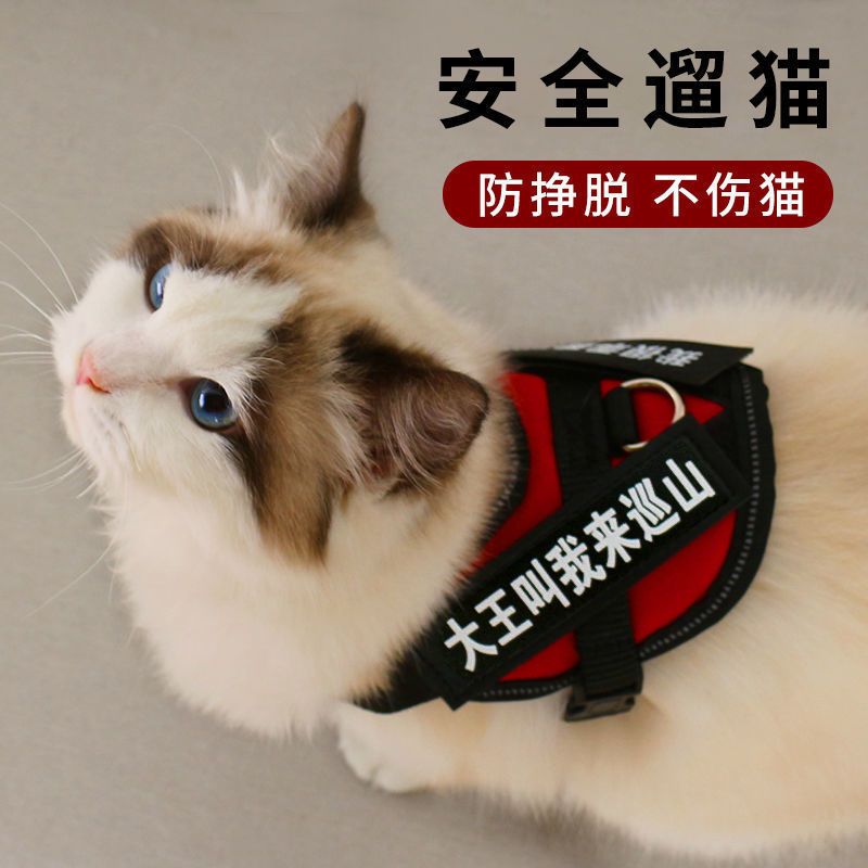 粉色[字帖指定联系客服 默认随机] XXS码[适合4斤内]猫 猫咪牵引绳防挣脱专用溜猫绳遛猫绳背心式背带项圈栓小猫绳子猫