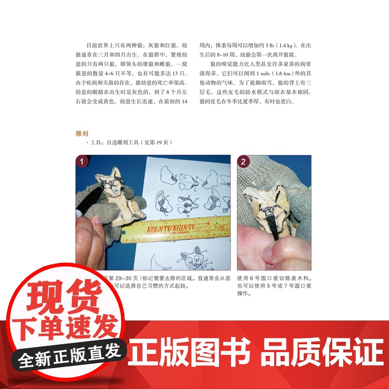 彩色木工雕刻 提高雕刻水平 制作可爱动物摆件 细致步骤 独特烙画技巧 详尽大师讲解 北京科学技术高清大图