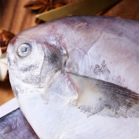 三都港 冷冻东海银鲳鱼 550g 5条 袋装 平鱼 海鲜水产