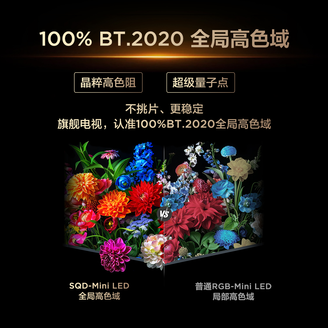 TCL电视 85Q10M Pro 85英寸 SQD-Mini LED 100%全局高色域 超级蝶翼华曜屏 万象分区电视高清大图