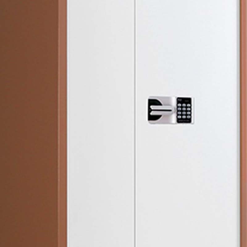 帅畅保密柜财务档案柜文件柜办公室资料储物柜保险柜通体咖框白门-国保密码锁高清大图