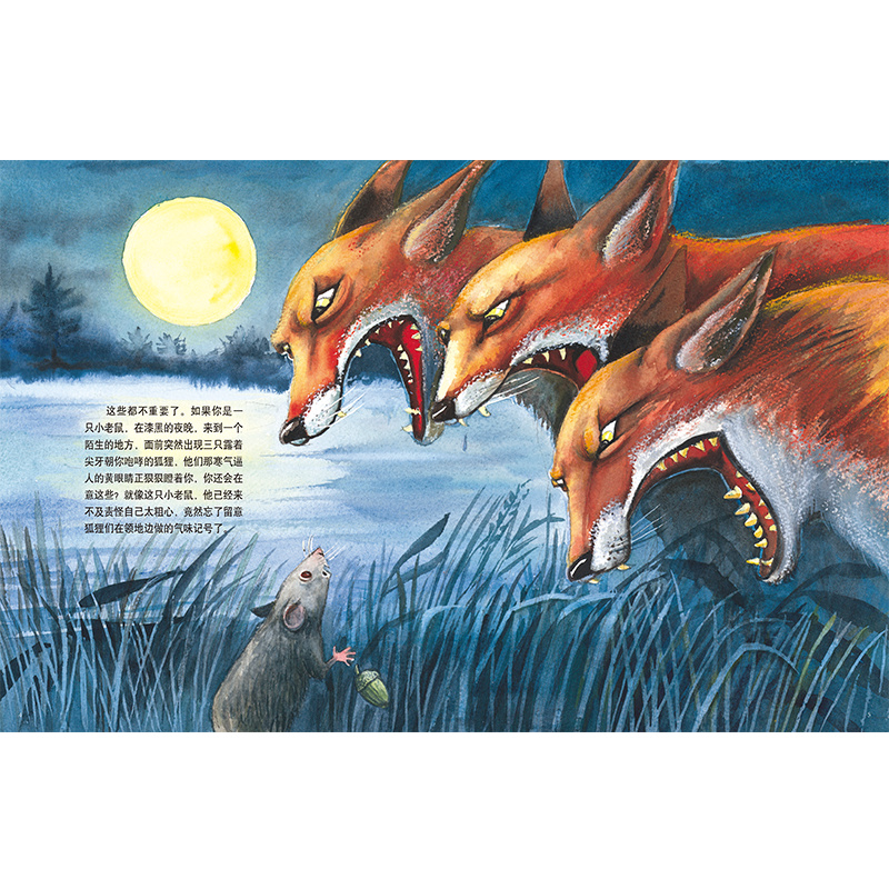[正版]绘本第四只狐狸戏剧张力反转剧情3-7-10岁儿童图画书睡前故事读物亲子阅读高清大图