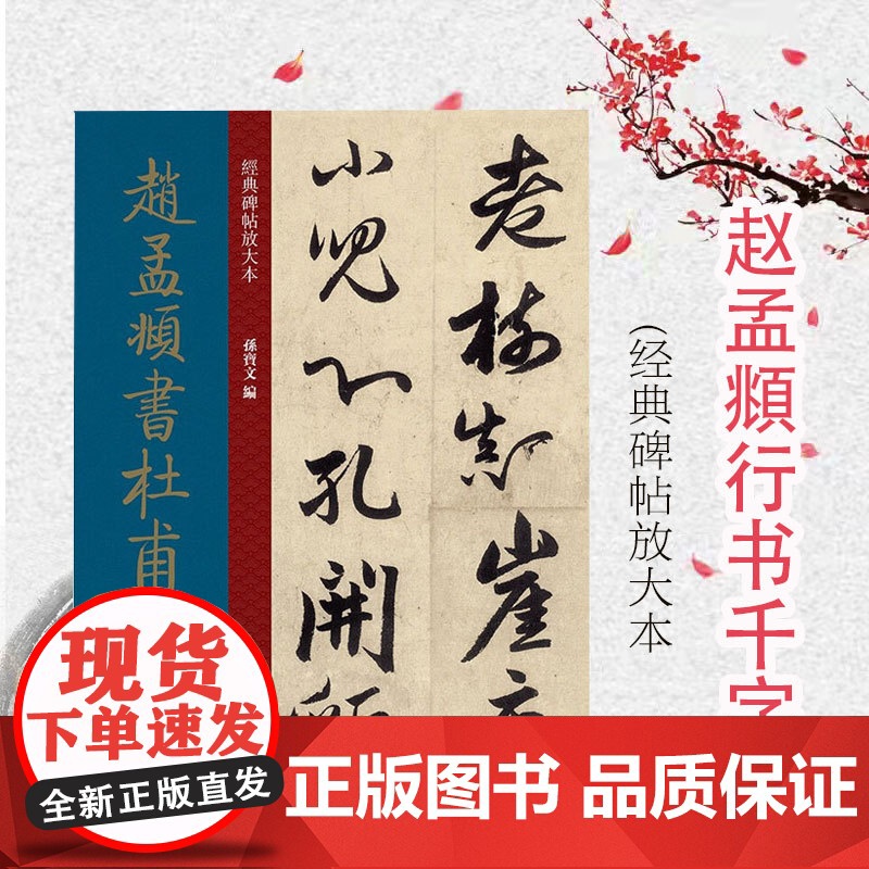 经典碑帖放大本——赵孟頫行书千字文 全文高清彩色放大版繁体旁 赵氏行书 行书字帖 篆刻碑帖 书法字帖 上海人民美术出版社高清大图