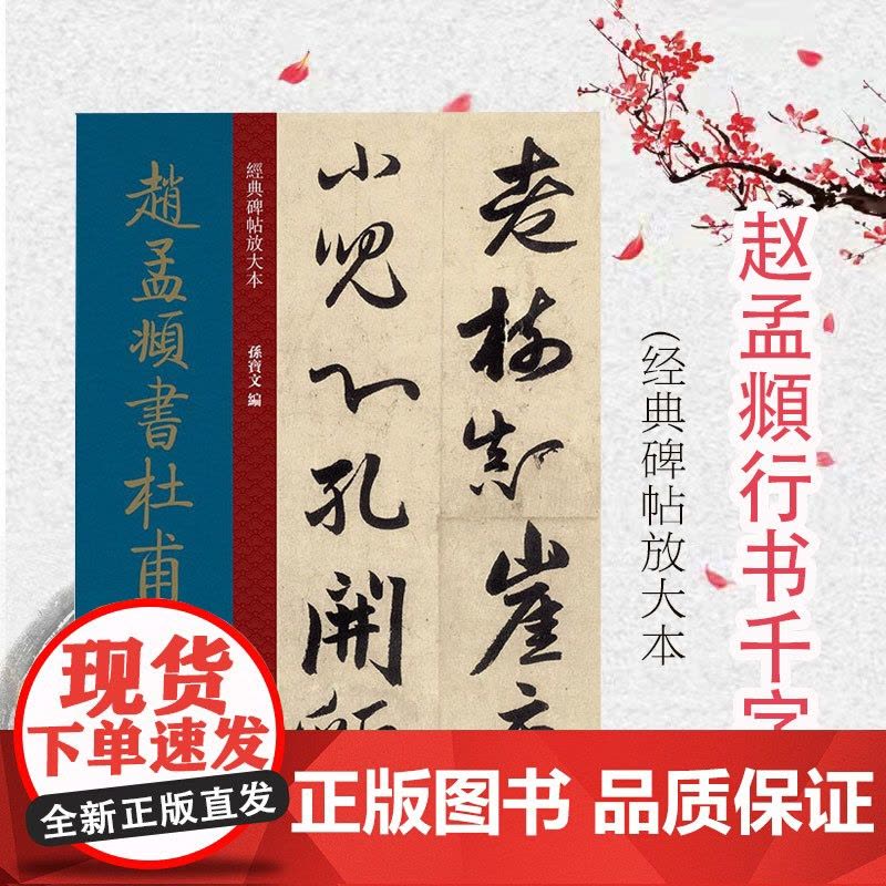 经典碑帖放大本——赵孟頫行书千字文 全文高清彩色放大版繁体旁 赵氏行书 行书字帖 篆刻碑帖 书法字帖 上海人民美术出版社图片