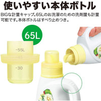 狮王LIONTOP持久香氛柔顺洗衣液玫瑰香850G×2瓶