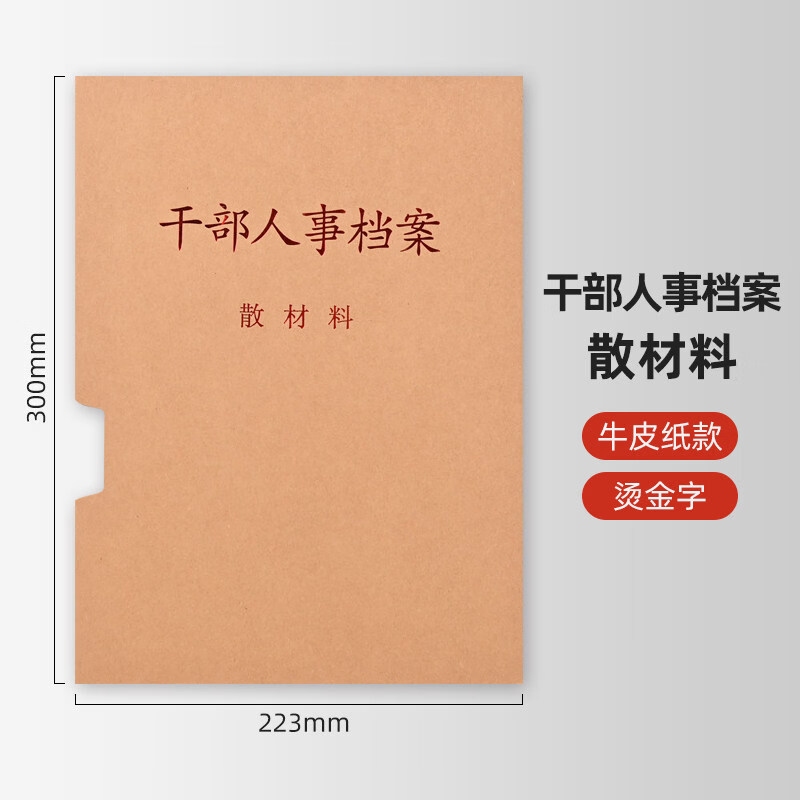 干部人事职工档案配套牛皮纸a4散材料干部人事档案袋备用袋十大类 10只装