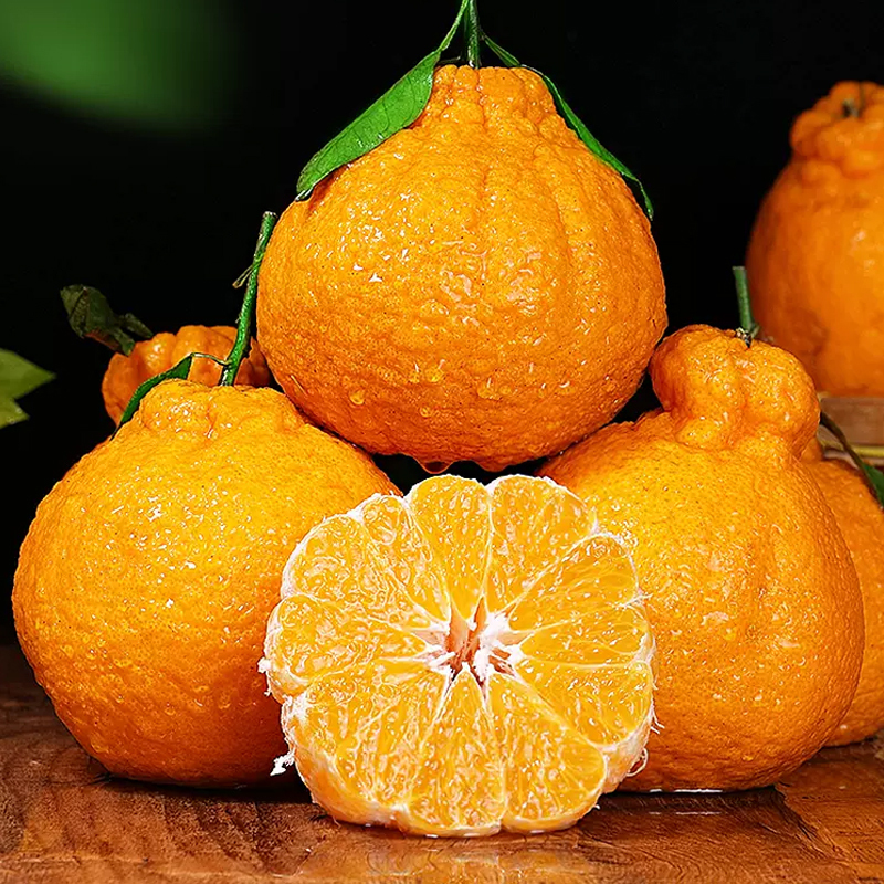 熊猫鸟四川不知火柑橘中果3斤单果6575mm箱装丑橘橘子甜蜜多汁新鲜应