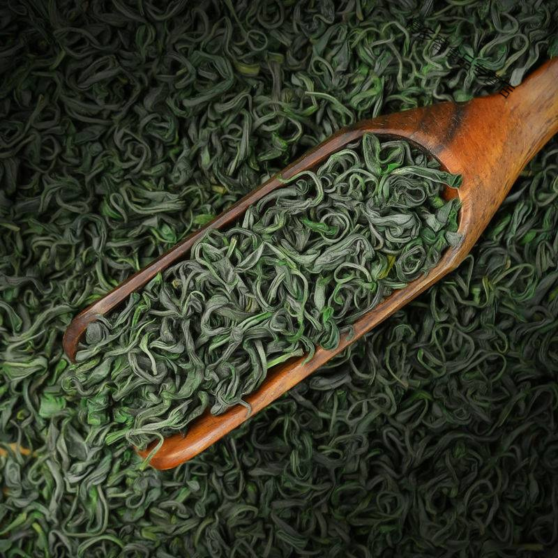 云雾绿茶 新茶明前花果香春茶浓香型耐泡送礼盒装400g