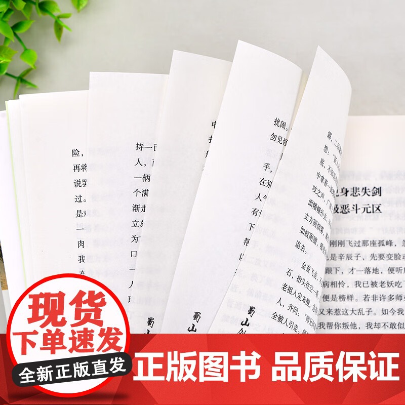 [央视网]蜀山剑侠传 软精装 全10册 被誉为天下奇书的武侠小说 还珠楼主代表作 蜀山战纪原著小说 附蜀山剑侠后传 峨眉高清大图