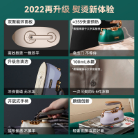 大宇(DAEWOO)挂烫机家用手持熨烫机 蒸汽电熨斗 旅游出差便携式小型除菌自清洁烫衣机HI-036 星黛紫