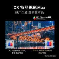 Sony/索尼 XR-65A95L 65英寸量子点OLED电视 旗舰电视 XR认知芯片