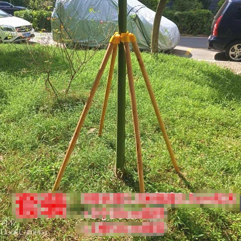 防风支撑架杆固定器塑料套杯扎绑带拉紧带树林花圃树苗绿化四脚稳
