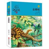 野马归野 金蟒蛇 全套2册/1册 动物小说大王沈石溪品藏书系 金蟒蛇