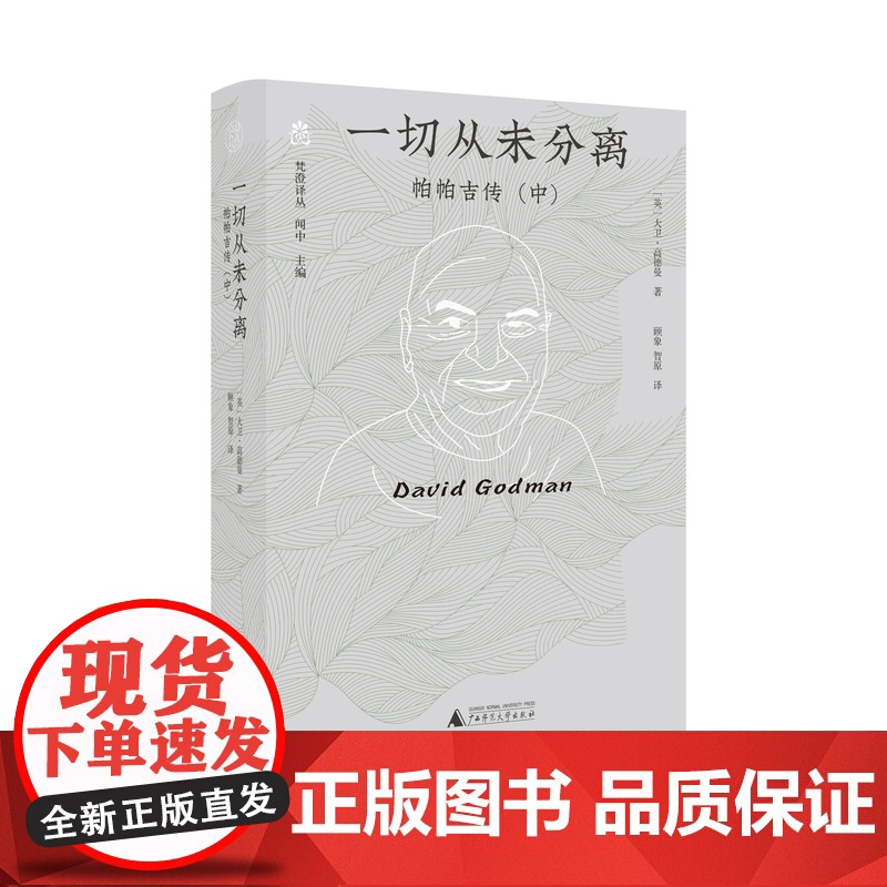梵澄译丛·一切从未分离 帕帕吉传(中)大卫·高德曼 /著 顾象 智原/译 广西师范大学出版社高清大图