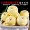 鲜贝达 顺丰快递奶油富士苹果8.5斤大果[单果80mm以上] 脆甜多汁