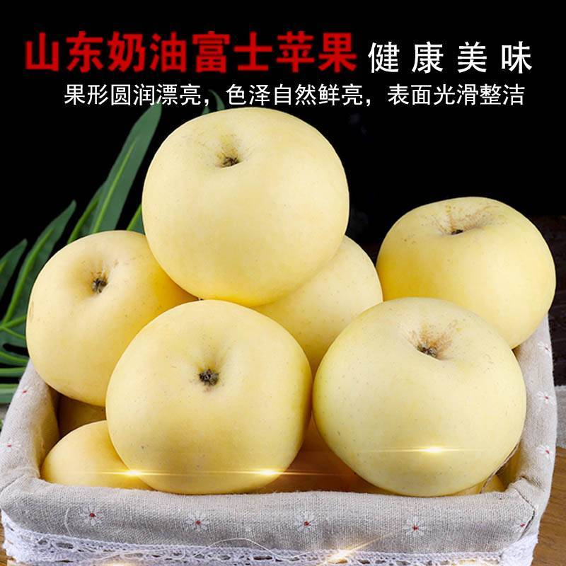 鲜贝达 顺丰快递奶油富士苹果8.5斤大果[单果80mm以上] 脆甜多汁
