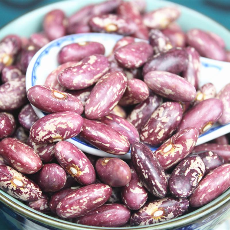 曦凰杂粮新豆紫花芸豆东北煮粥饭豆大碴粥红花芸豆花腰豆子2斤 价格图片品牌报价 苏宁易购心扬食品专营店