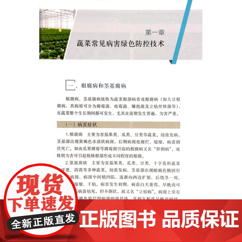 蔬菜常见病虫草害绿色防控技术图谱高清大图