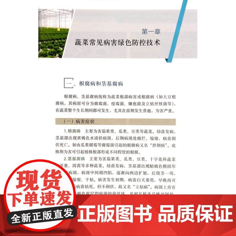 蔬菜常见病虫草害绿色防控技术图谱图片