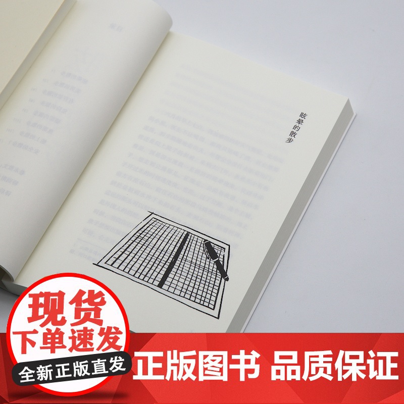 眩晕的散步 武田泰淳著田肖霞默音译本上海文艺出版社战后派代表作家作品野间文艺奖札记生命经历日本近代历史回忆高清大图