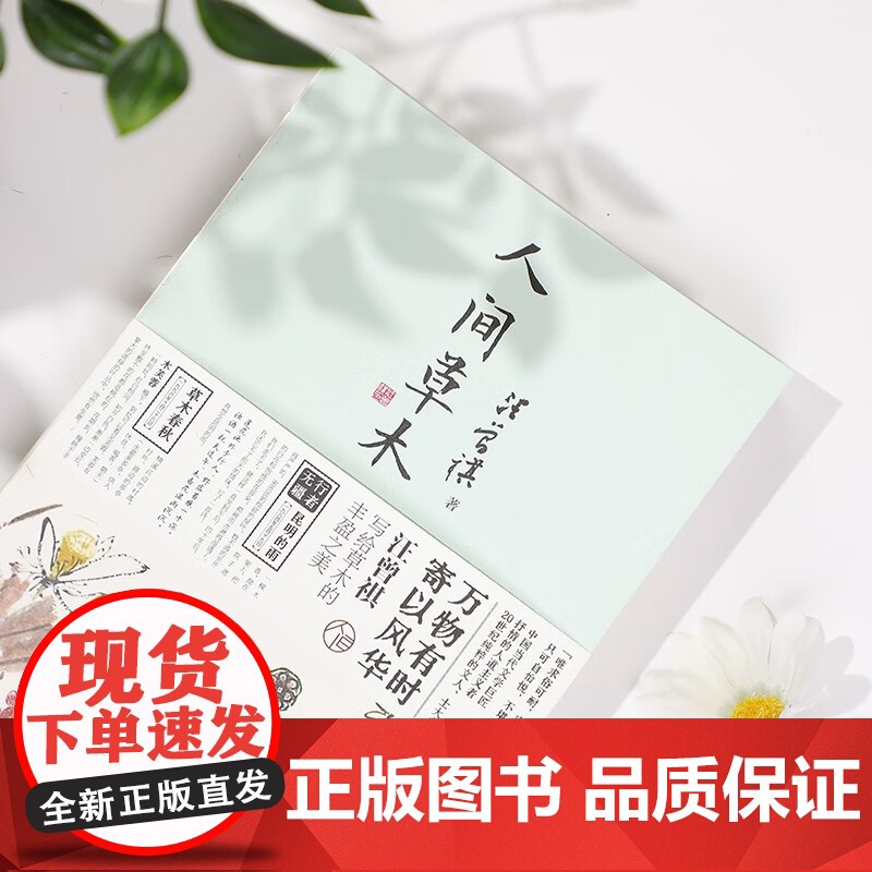 汪曾祺 人间草木 汪曾祺 著 名家作品高清大图