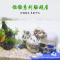 鱼缸造景装饰虾窝躲避屋繁殖罐鱼室海绵宝宝菠萝屋水族箱树脂摆件