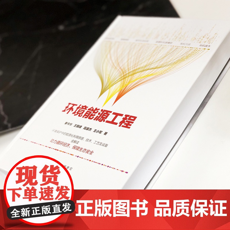 正版 环境能源工程 廖传华 环境保护能源化利用技术 有机废弃物能源化利用 能源清洁利用工具书 高等学校新能源化工环境科学高清大图
