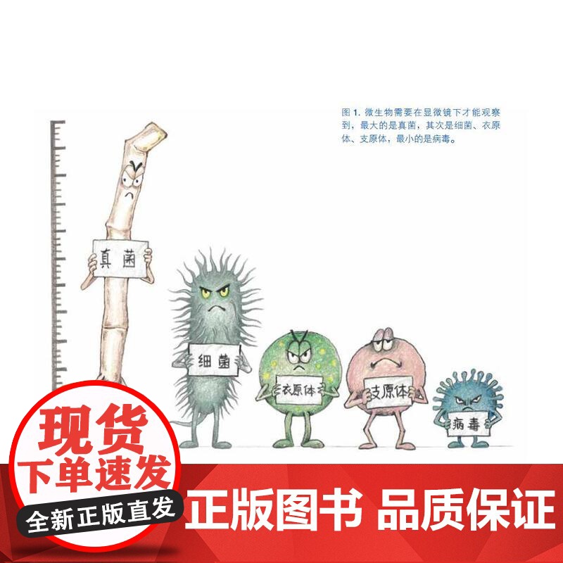 《北大专家画说泌尿疾病》之二:“尿圈”细菌通缉令高清大图