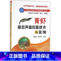 【正版】青虾养殖致富技术与实例 邹宏海 河虾淡水虾人工繁育技术大全青虾疾病防治 青虾养殖一本通大虾青虾养宏病全