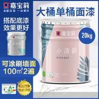 嘉宝莉CARPOLY 内墙乳胶漆 小清新明悦净白墙面漆水性油漆涂料 20kg亚光面漆 20kg晒单图